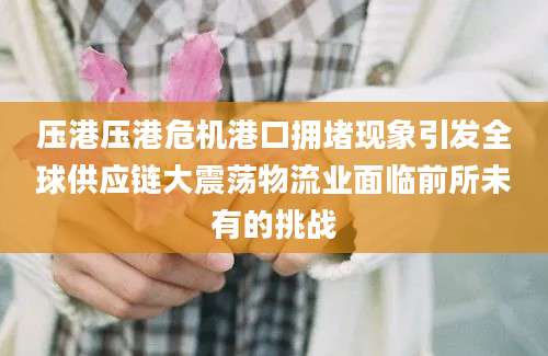 压港压港危机港口拥堵现象引发全球供应链大震荡物流业面临前所未有的挑战