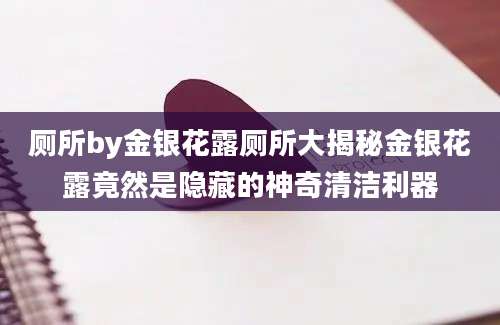 厕所by金银花露厕所大揭秘金银花露竟然是隐藏的神奇清洁利器