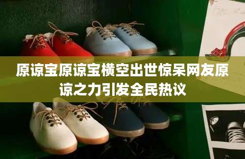 原谅宝原谅宝横空出世惊呆网友原谅之力引发全民热议