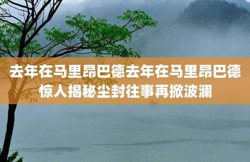 去年在马里昂巴德去年在马里昂巴德惊人揭秘尘封往事再掀波澜