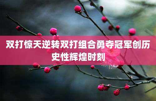 双打惊天逆转双打组合勇夺冠军创历史性辉煌时刻