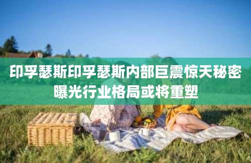印孚瑟斯印孚瑟斯内部巨震惊天秘密曝光行业格局或将重塑