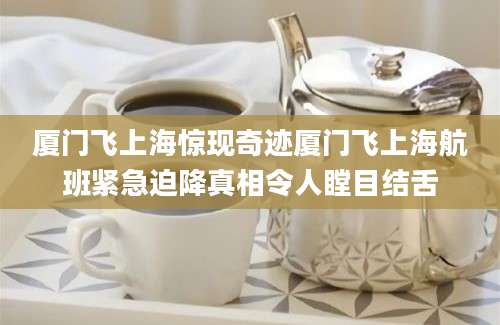 厦门飞上海惊现奇迹厦门飞上海航班紧急迫降真相令人瞠目结舌
