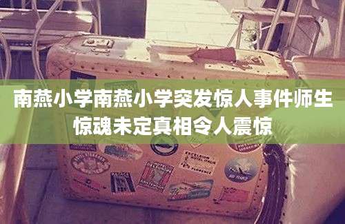 南燕小学南燕小学突发惊人事件师生惊魂未定真相令人震惊