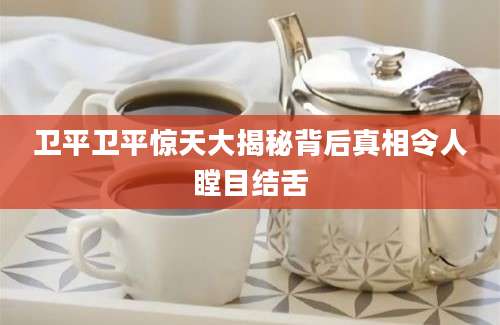 卫平卫平惊天大揭秘背后真相令人瞠目结舌