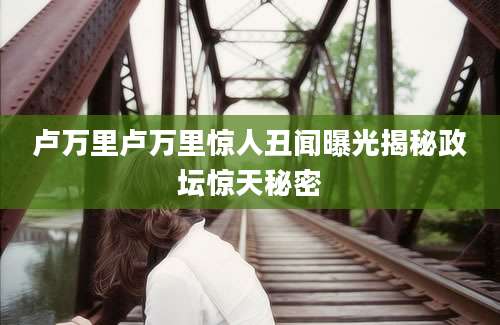 卢万里卢万里惊人丑闻曝光揭秘政坛惊天秘密