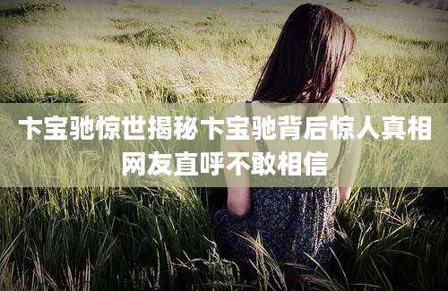 卞宝驰惊世揭秘卞宝驰背后惊人真相网友直呼不敢相信