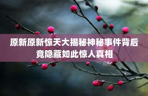 原新原新惊天大揭秘神秘事件背后竟隐藏如此惊人真相