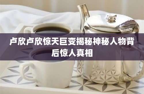 卢欣卢欣惊天巨变揭秘神秘人物背后惊人真相