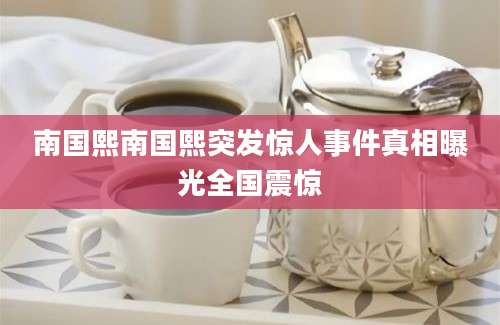 南国熙南国熙突发惊人事件真相曝光全国震惊