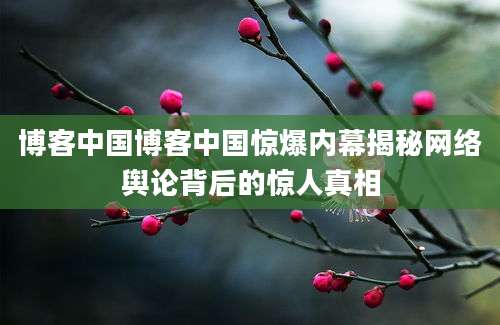 博客中国博客中国惊爆内幕揭秘网络舆论背后的惊人真相