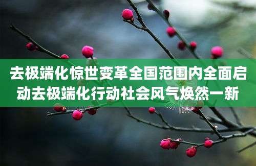 去极端化惊世变革全国范围内全面启动去极端化行动社会风气焕然一新