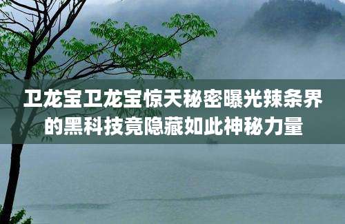 卫龙宝卫龙宝惊天秘密曝光辣条界的黑科技竟隐藏如此神秘力量