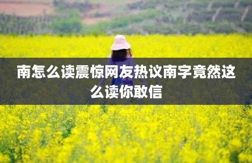 南怎么读震惊网友热议南字竟然这么读你敢信