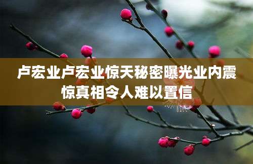卢宏业卢宏业惊天秘密曝光业内震惊真相令人难以置信