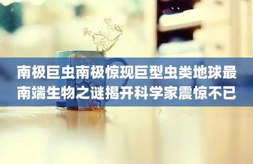 南极巨虫南极惊现巨型虫类地球最南端生物之谜揭开科学家震惊不已
