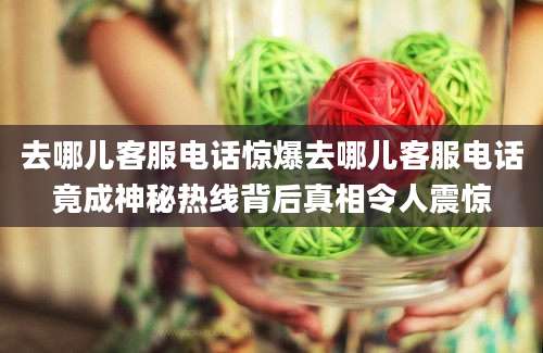 去哪儿客服电话惊爆去哪儿客服电话竟成神秘热线背后真相令人震惊